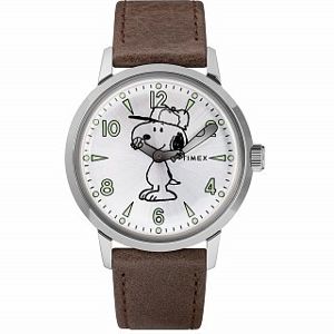 Pánské hodinky Timex TW2R94900
