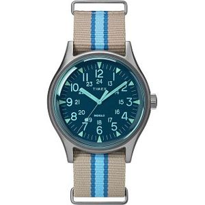 Pánské hodinky Timex TW2T25300