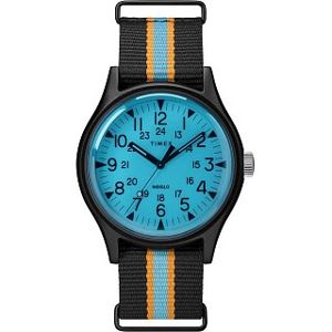 Pánské hodinky Timex TW2T25400