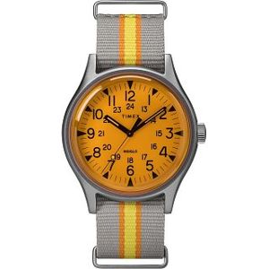 Pánské hodinky Timex TW2T25500