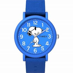 Dětské hodinky Timex TW2T65800
