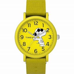 Dětské hodinky Timex TW2T65900