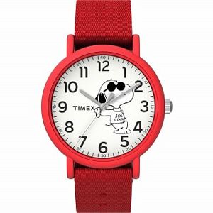 Dětské hodinky Timex TW2T66000