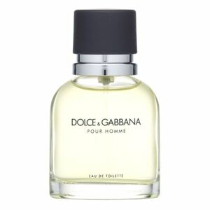 Dolce & Gabbana Pour Homme toaletní voda pro muže 40 ml
