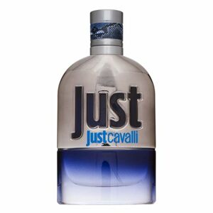 Roberto Cavalli Just Cavalli Him 2013 toaletní voda pro muže Extra Offer 50 ml